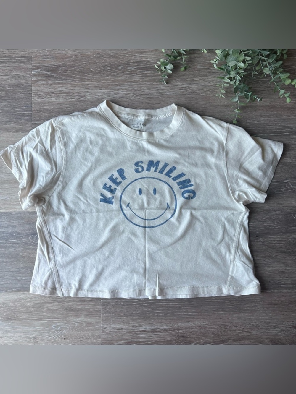 AE Keep Smiling Graphic Crop Tee - Cream with Blue Print